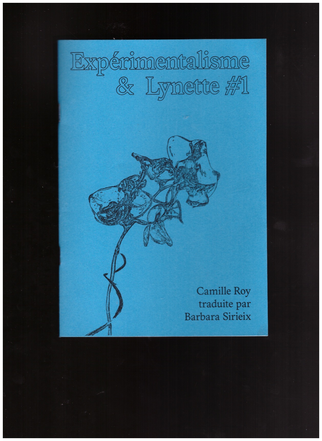 ROY, Camille - Expérimentalisme & Lynette #1